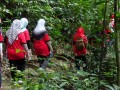 Tn 0954 DSC00129